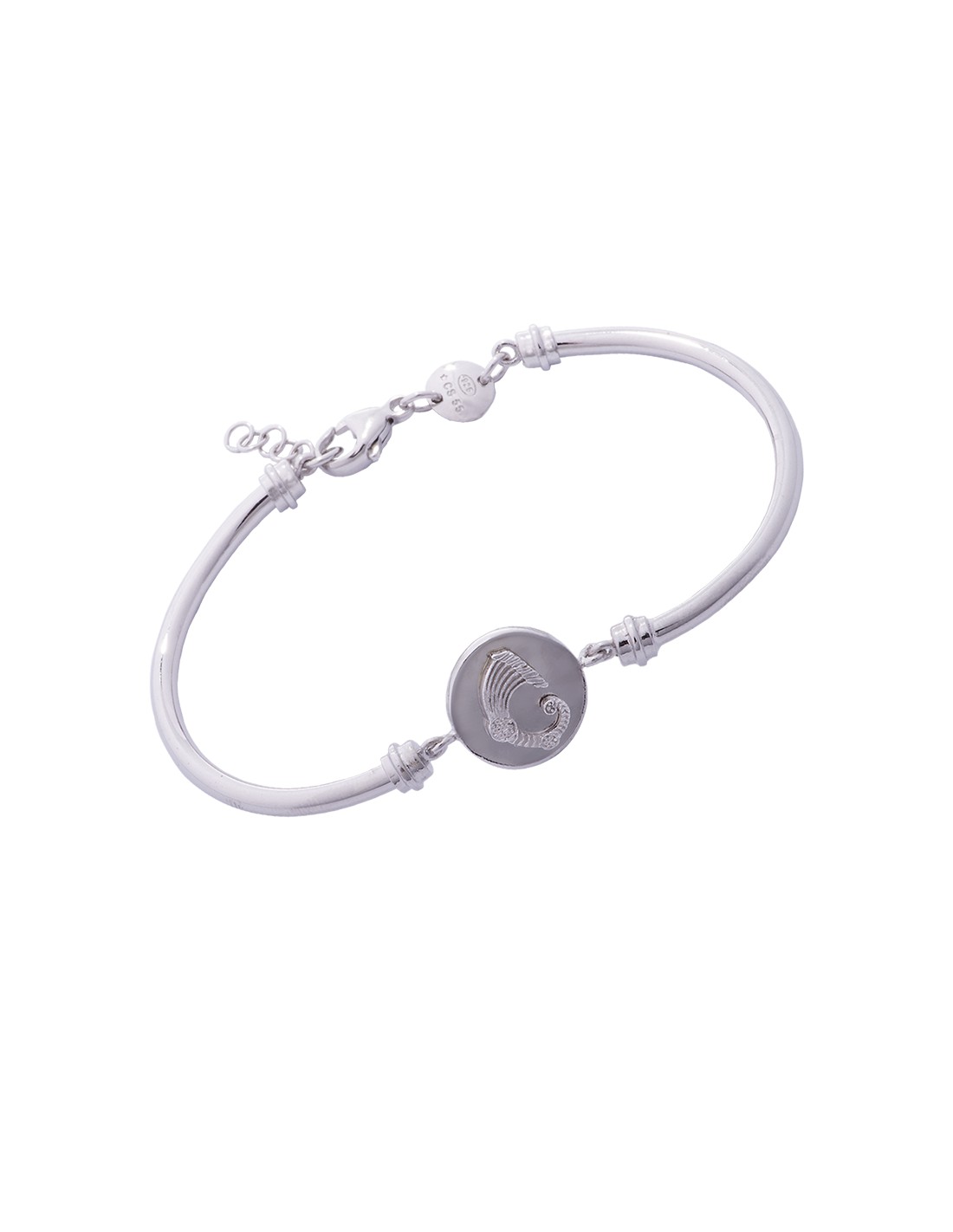 Dragon Coin Tube Bracelet